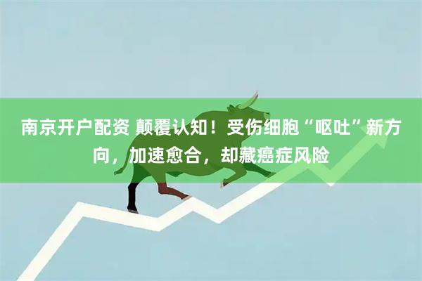 南京开户配资 颠覆认知！受伤细胞“呕吐”新方向，加速愈合，却藏癌症风险