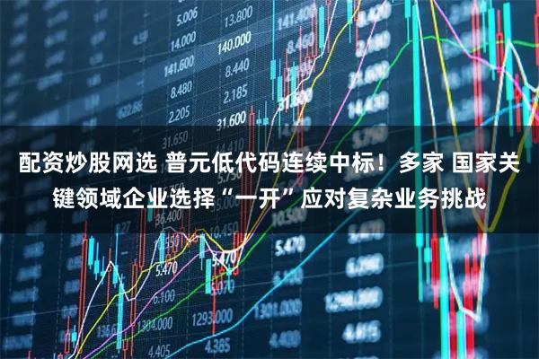 配资炒股网选 普元低代码连续中标！多家 国家关键领域企业选择“一开”应对复杂业务挑战